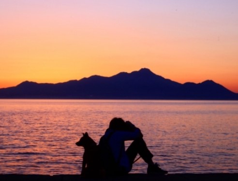 退休老公症候群（Retired Husband Syndrome）