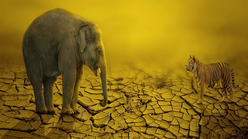 【七分熟｜中年與老年的對決？超高齡時代的新親子關係】