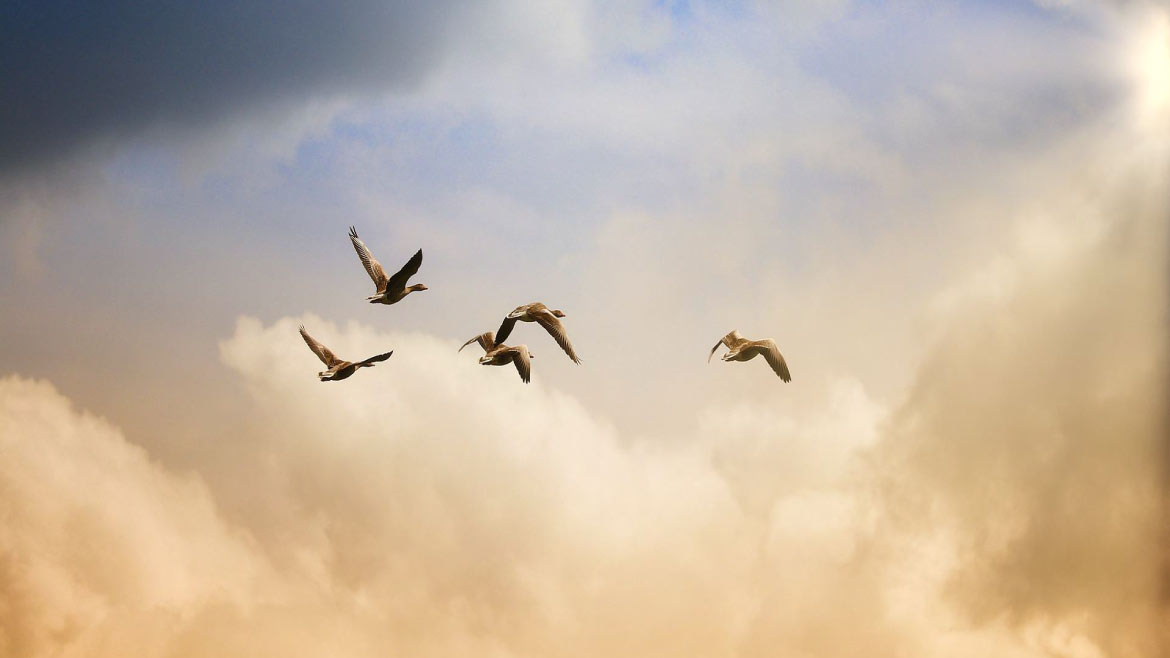 決定最後一哩路的風景，自在善終的深思